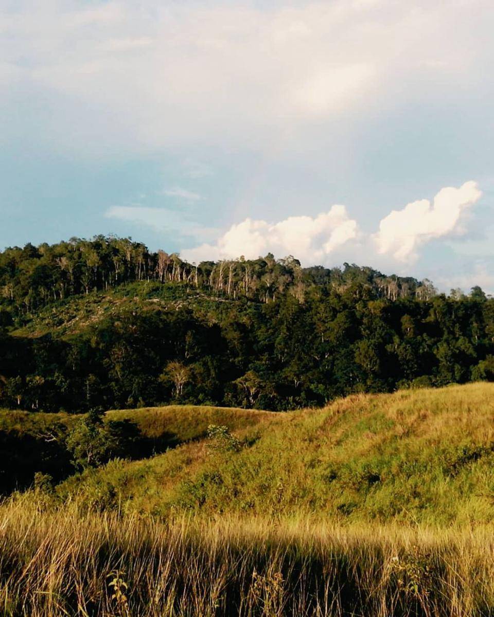 potret Bukit Teletubbies di Luwuk (instagram.com/robbyleedjohari)