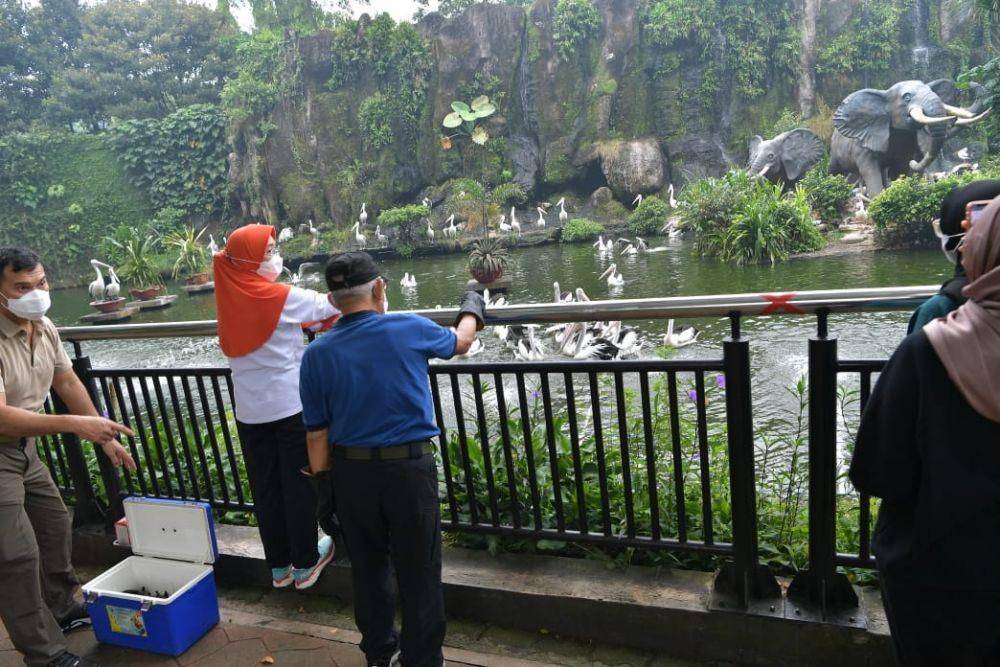 Wapres Ma'ruf Amin mengunjungi Kebun Binatang Ragunan (dok. Sekretariat Wapres)