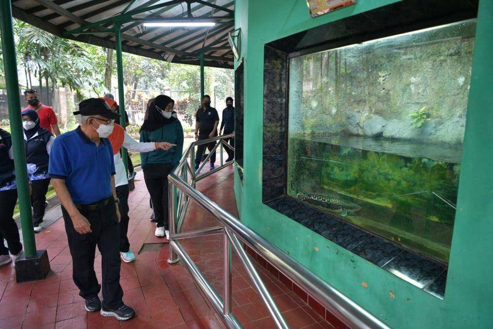 Wapres Ma'ruf Amin mengunjungi Kebun Binatang Ragunan (dok. Sekretariat Wapres)