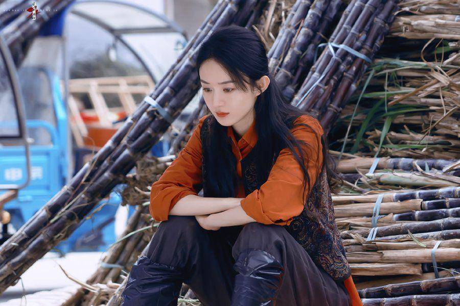 Poster CDrama The Story of Xing Fu (dok. Youku/The Story Of Xing Fu)