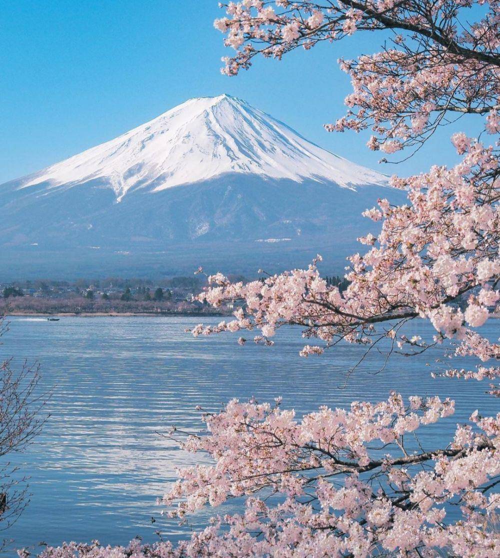 Lake Kawaguchi (instagram.com/yuuna_iris66)