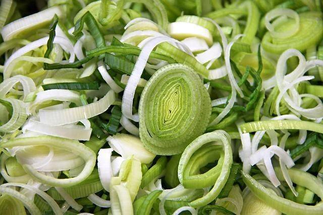 Ilustrasi bawang daun (Pixabay.com/manfredritcher)
