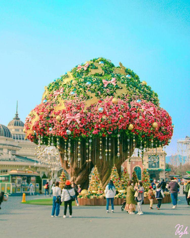 Everland Theme Park (instagram.com/kyla_in_somewhere)