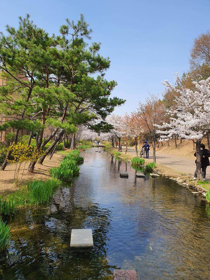 Bucheon Citizen's River (instagram.com/hyosoon7668)