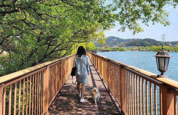 Tapjeong Lake Ecological Park (instagram.com/ohalay)