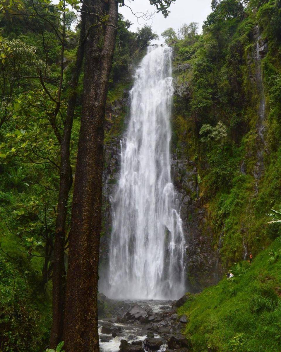 Air Terjun Materuni (instagram.com/marialcbennett)