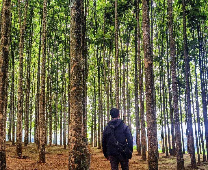 potret The Farm Pancawati (instagram.com/wewwkereen)