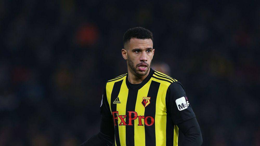 Etienne Capoue (skysports.com)