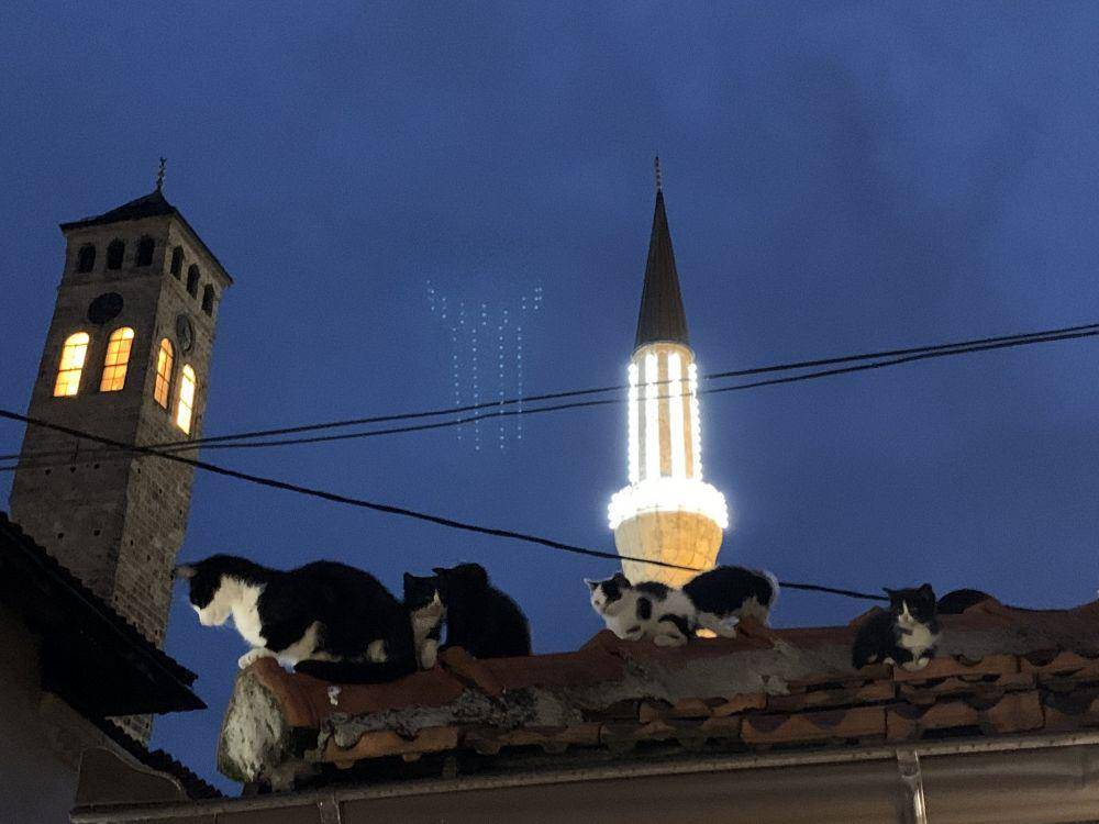 potret kucing di sekitar Masjid Gazi Husrev-beg dan Sarajevo Clock Tower (twitter.com/amila295)