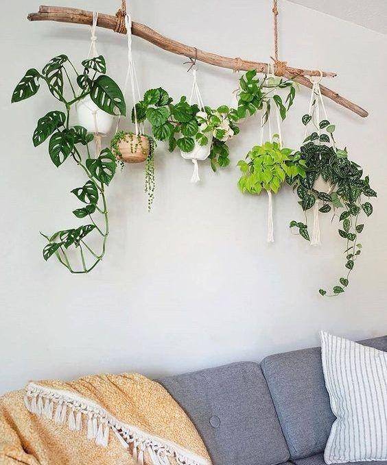 dekorasi tanaman hias (instagram.com/diyhomebr)