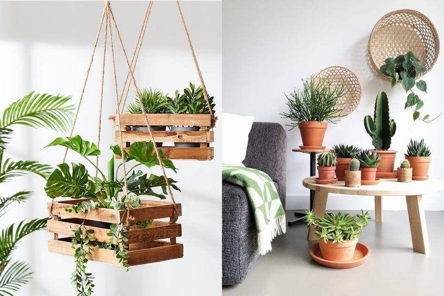 dekorasi tanaman hias (labellesociety.com|myscandi.ru)