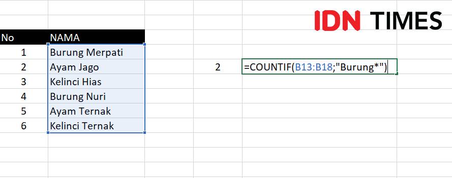 Contoh COUNTIF (IDN Times/Zihan Berliana)