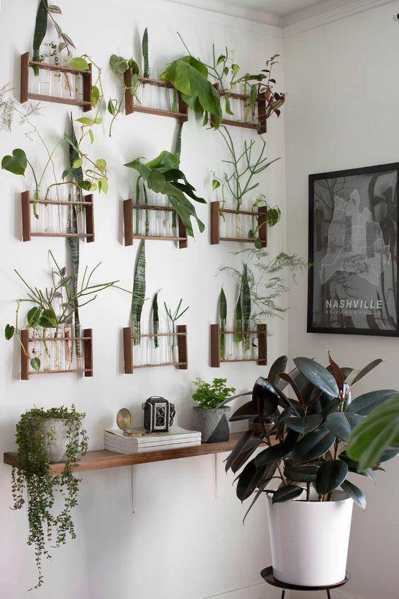 dekorasi tanaman hias (apartmenttherapy.com)