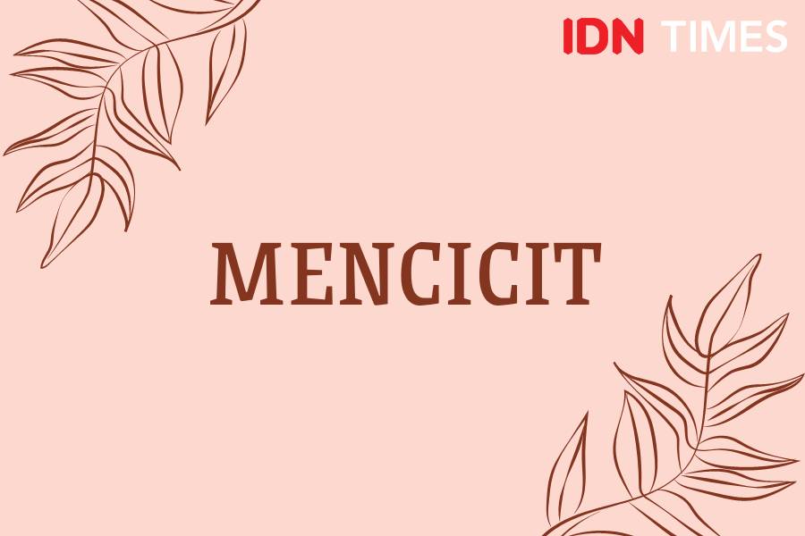 Sebutan suara binatang dalam Bahasa Indonesia (IDN Times/M. Tarmizi Murdianto)