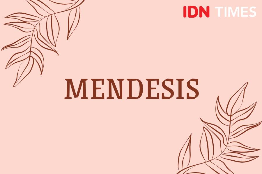 Sebutan suara binatang dalam Bahasa Indonesia (IDN Times/M. Tarmizi Murdianto)