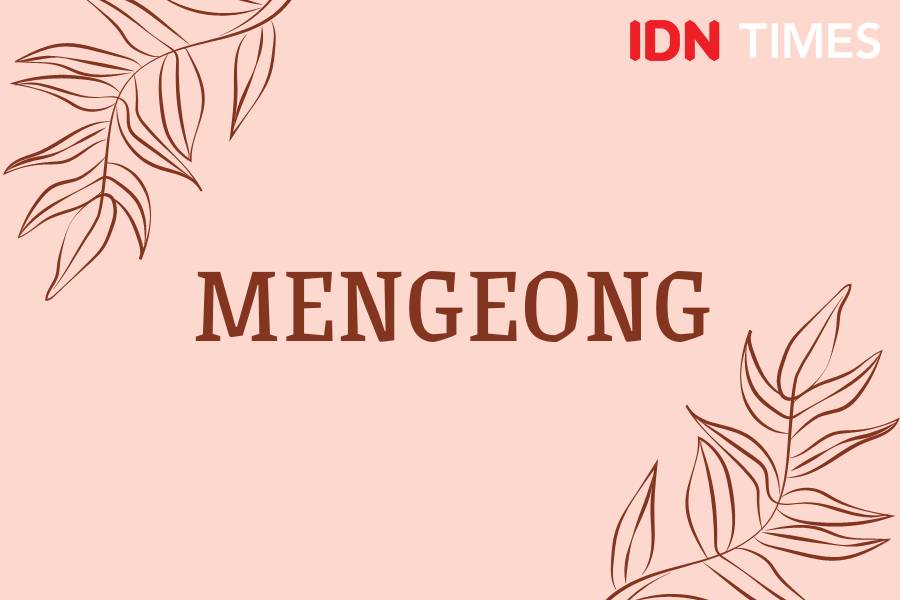 Sebutan suara binatang dalam Bahasa Indonesia (IDN Times/M. Tarmizi Murdianto)