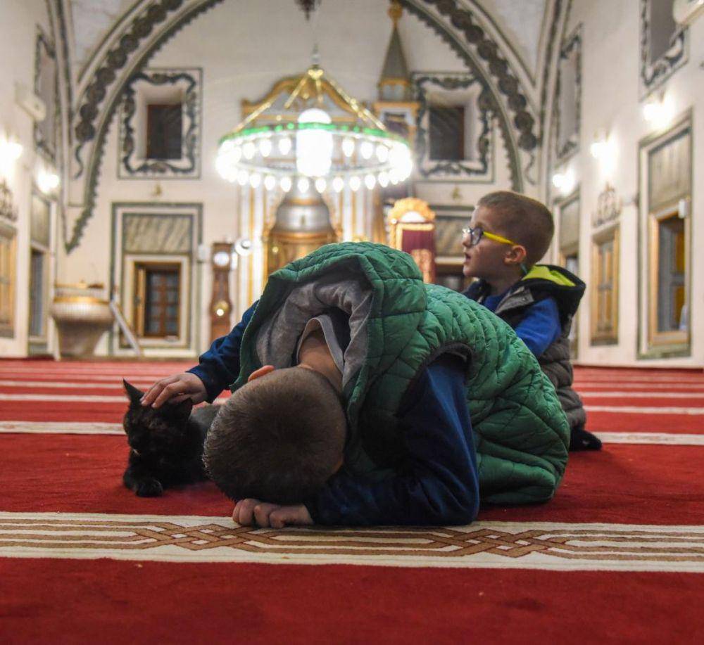 potret kucing di Masjid İsa Bey (twitter.com/ArbnoraMemeti)