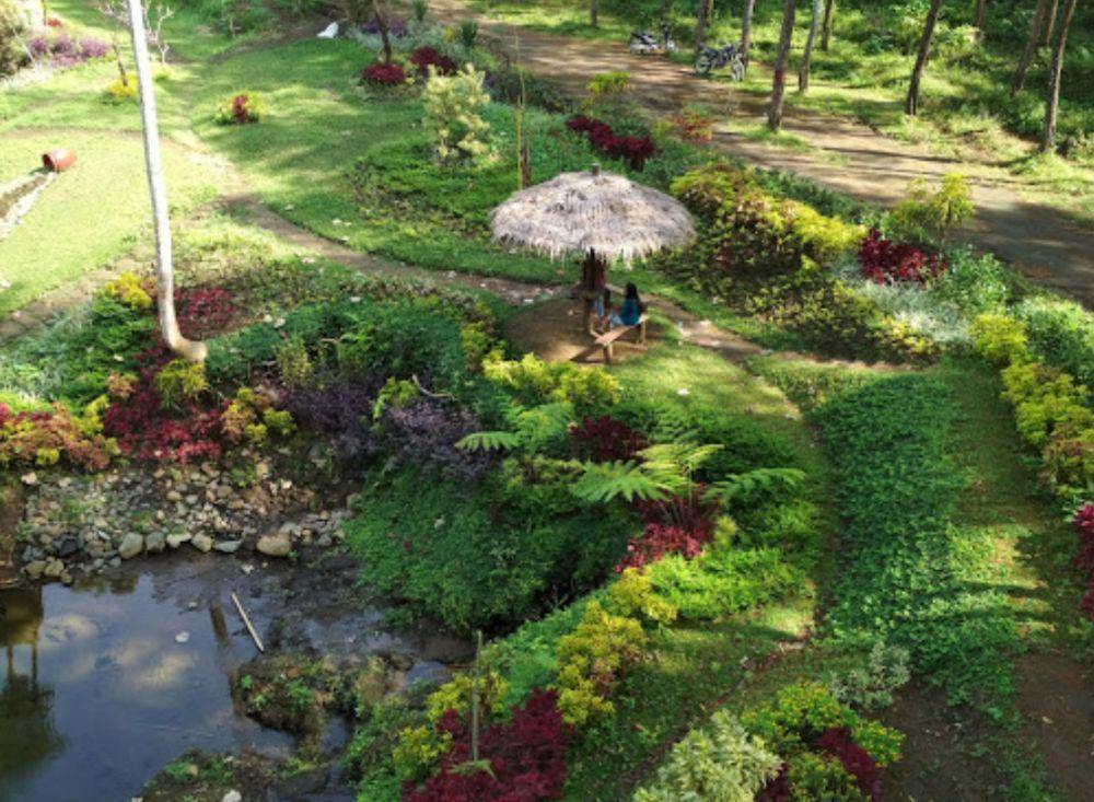 Wisata Hutan Pinus Winong, Malang (dok.pribadi/Rudi Isdianto85)