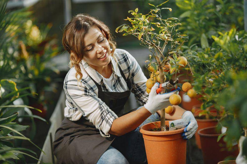ilustrasi wanita berkebun (pexels.com/gustavofring)