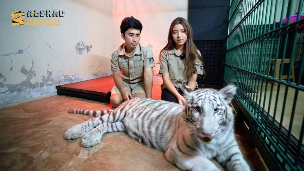 Tiara Andini dan Alshad melihat Selen yang sedang sakit. (dok.youtube.com/AlshadAhmad)