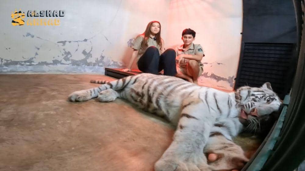 Tiara Andini dan Alshad melihat Selen yang sedang sakit. (dok.youtube.com/AlshadAhmad)