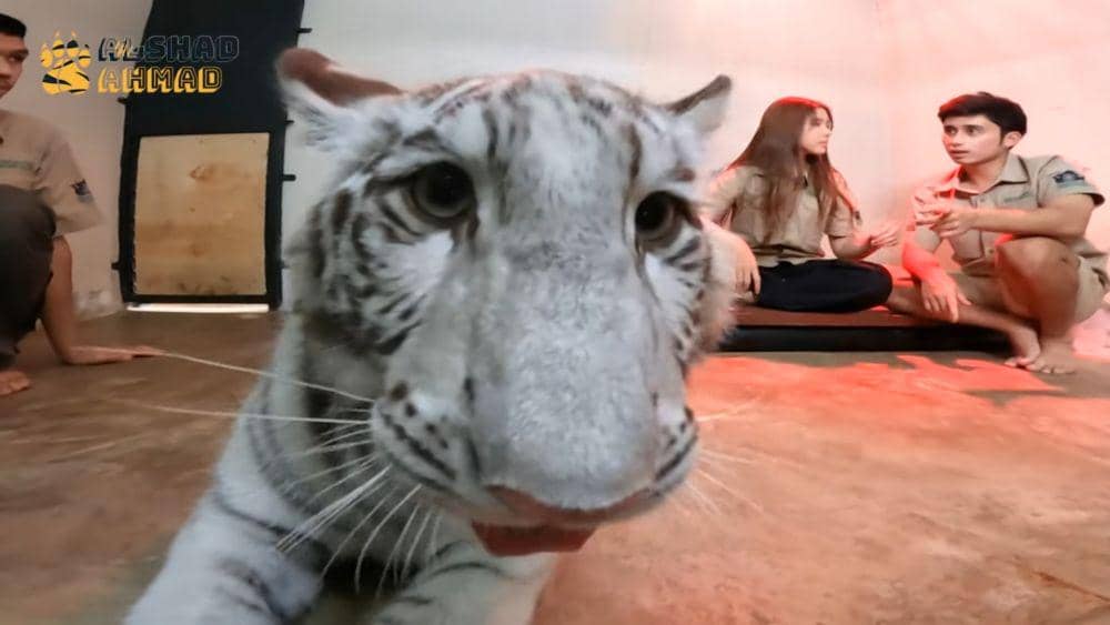 Tiara Andini dan Alshad melihat Selen yang sedang sakit. (dok.youtube.com/AlshadAhmad)