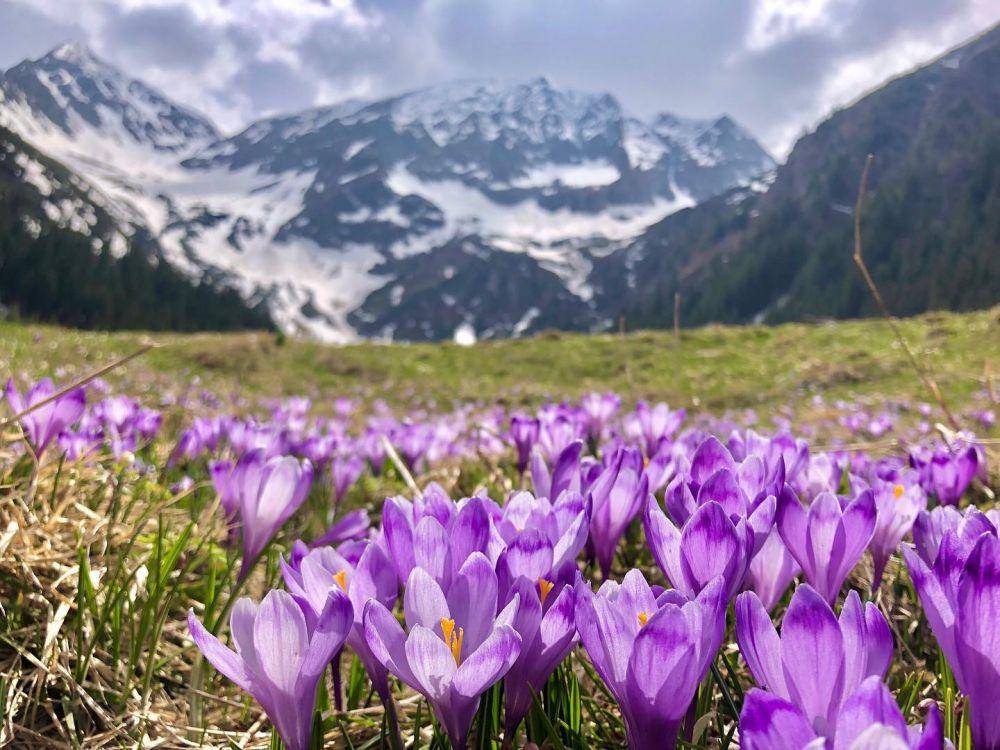 pemandangan pegunungan Karpatia di teritori Rumania (instagram.com/popgets7)