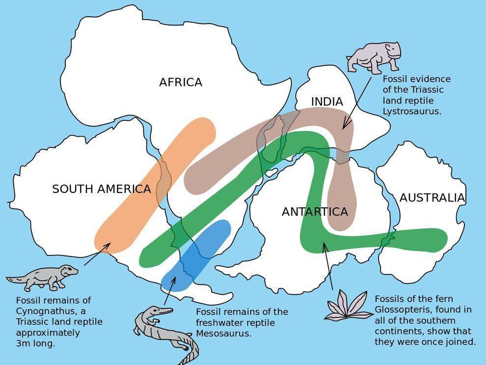 ilustrasi potongan benua menurut teori Apungan Benua (nationalgeographic.org)
