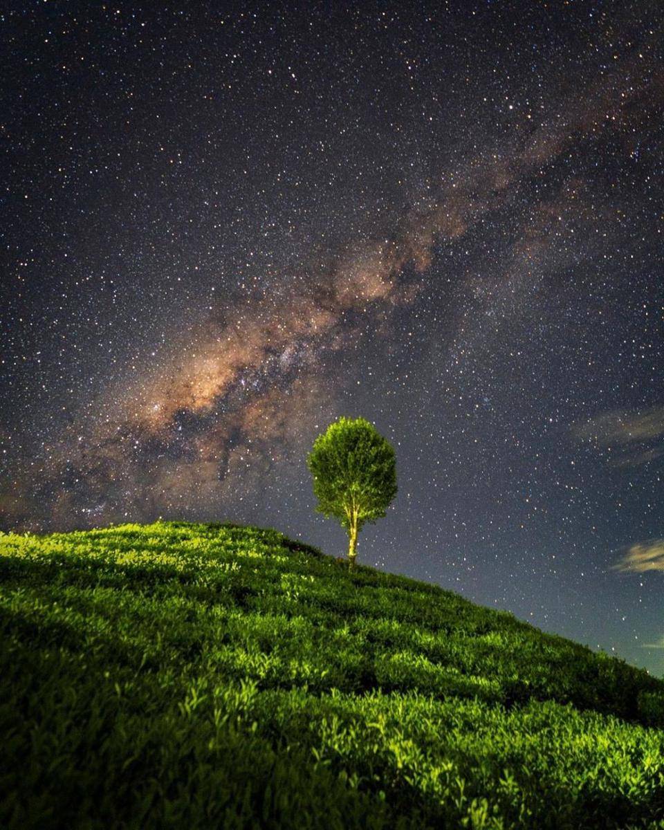 Kebun Teh Ciwalini, Bandung (instagram.com/eswlie)