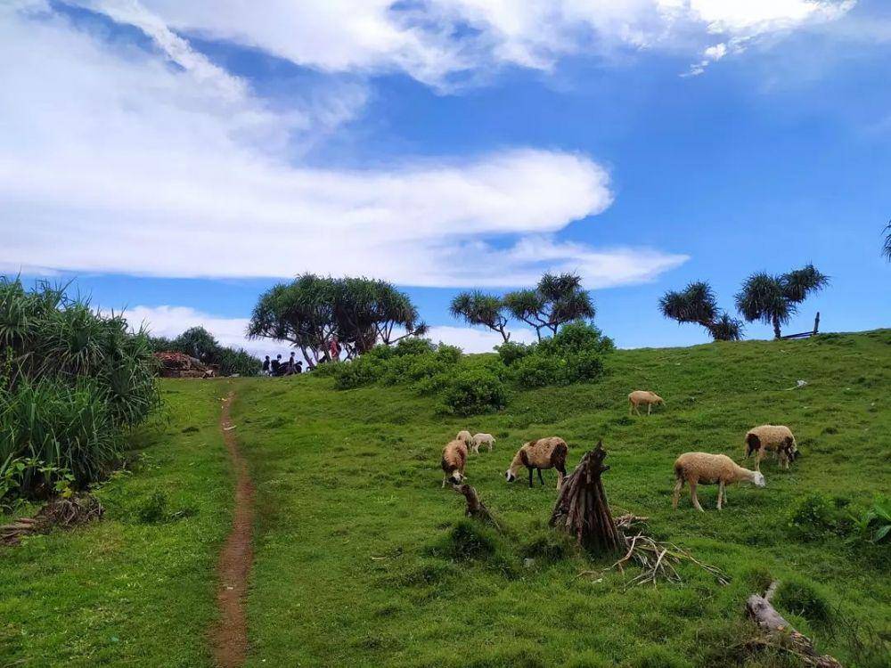 potret Puncak Guha, Garut (instagram.com/lizafebryanti)
