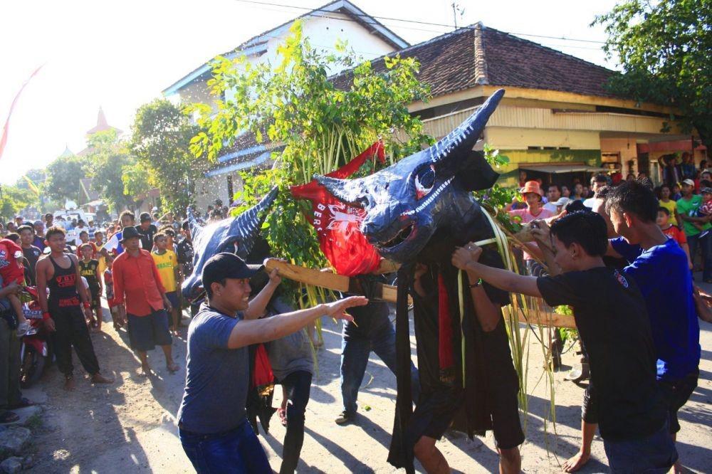 Kebo-Keboan Boyolangu, Wujud Syukur dan Ruang Silaturahim Suku Using