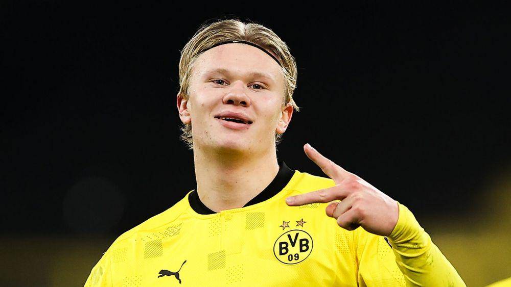 Erling Haaland (skysports.com)
