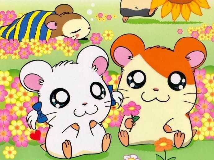 cuplikan Hamtaro (instagram.com/tabrisan)