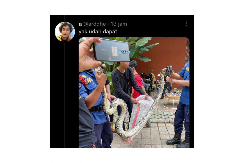 9 Tanggapan Aneh Warganet Melihat Ular Dievakuasi Damkar