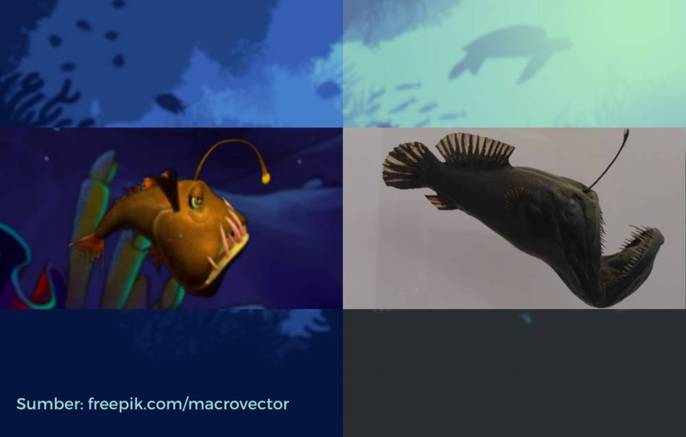 wujud anglerfish dalam game dan di dunia nyata (dok. PopCap Games/Feeding Frenzy | commons.wikimedia.org)