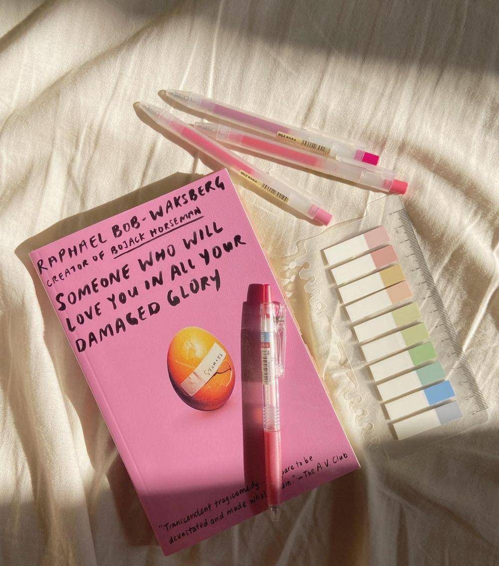 novel Someone Who Will Love You in All Your Damaged Glory (instagram.com/chroniqled))