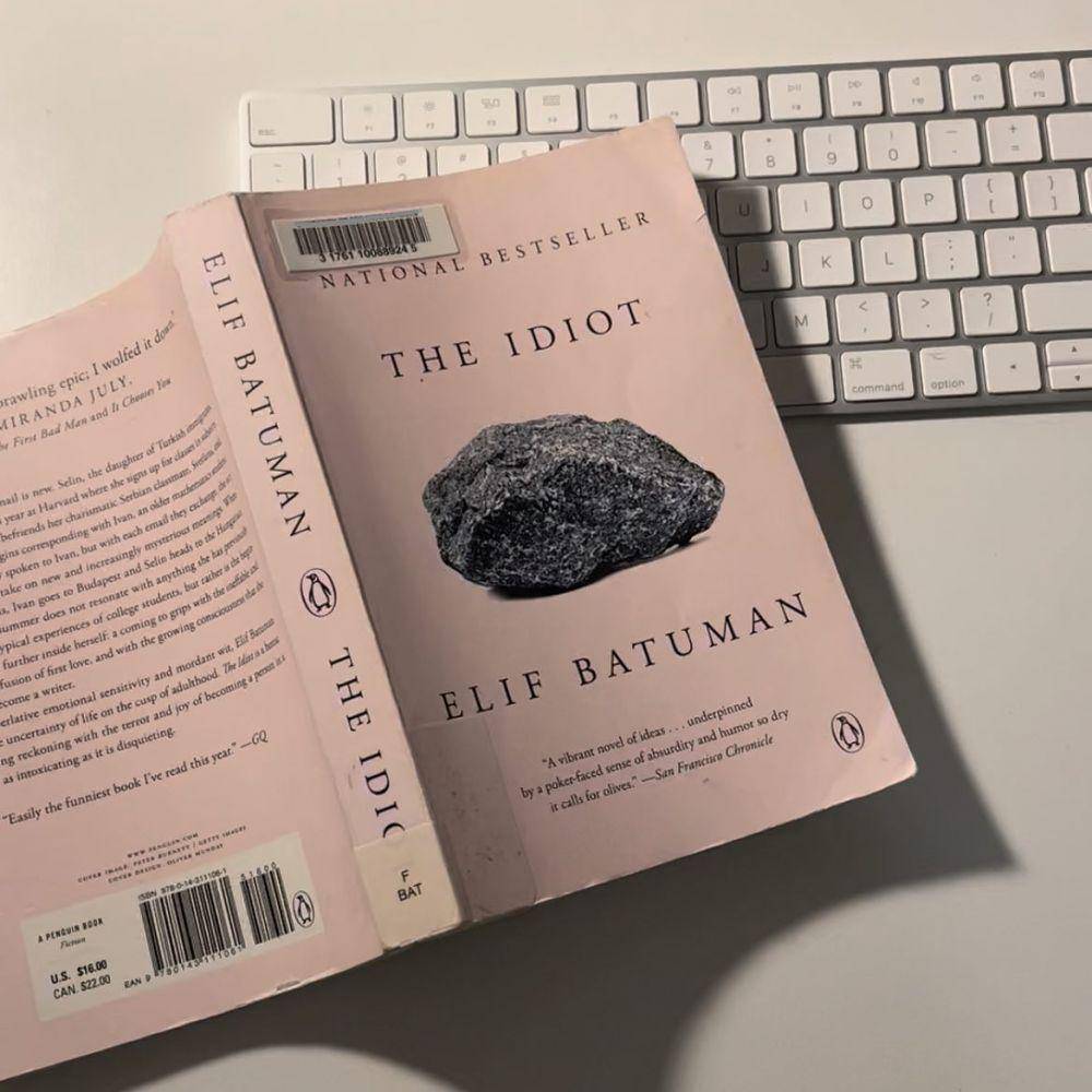 novel The Idiot (instagram.com/futurelawyerstudies)