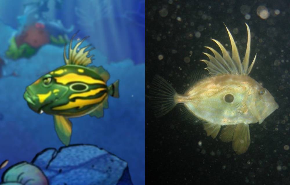 wujud ikan John Dory dalam game dan di dunia nyata (dok. PopCap Games/Feeding Frenzy | commons.wikimedia.org)