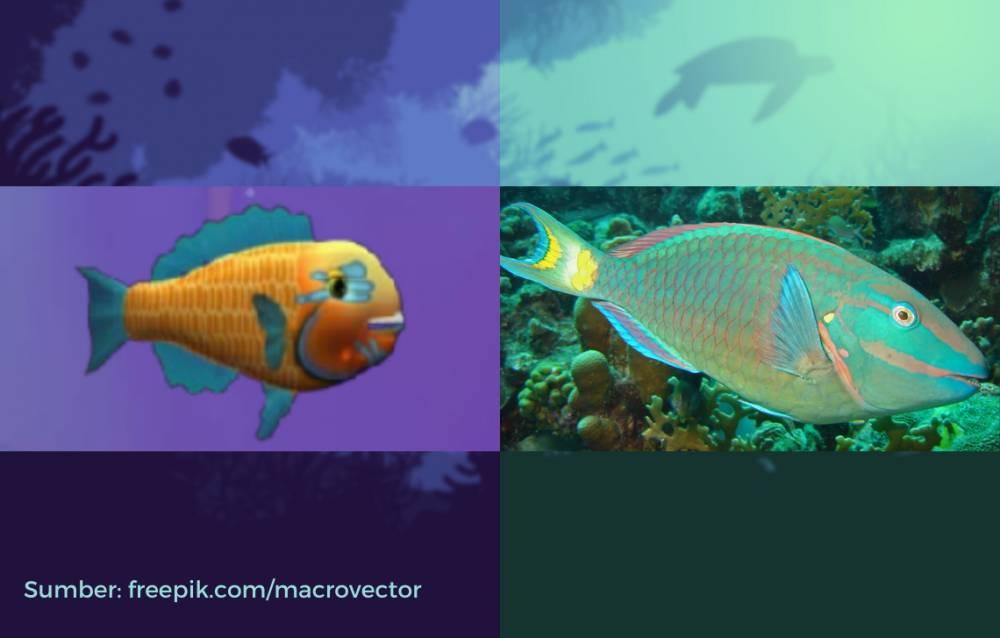 wujud ikan kakatua dalam game dan di dunia nyata (dok. PopCap Games/Feeding Frenzy | commons.wikimedia.org)