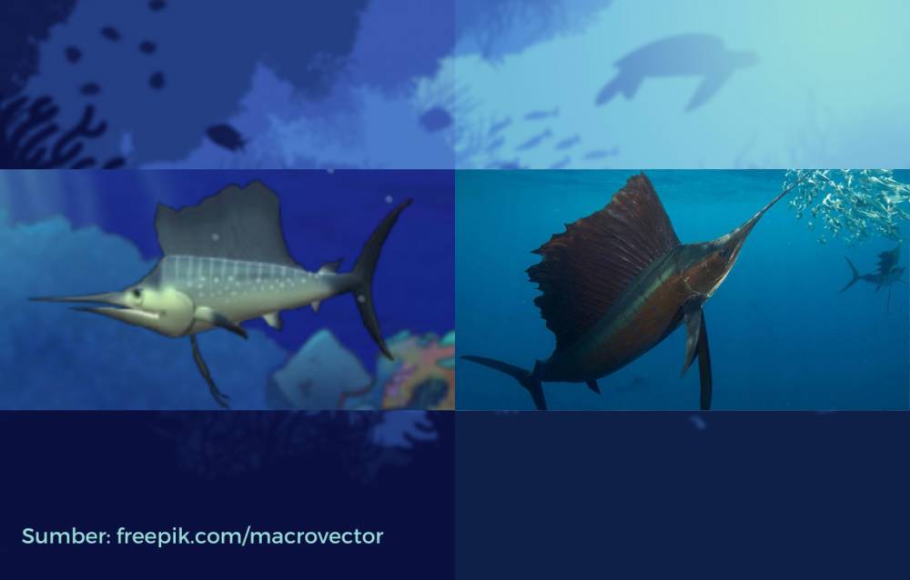 wujud ikan layaran dalam game dan di dunia nyata (dok. PopCap Games/Feeding Frenzy | flickr.com/NOAA's National Ocean Service)