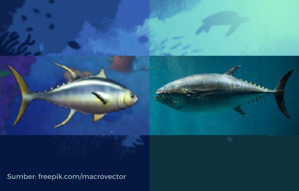 wujud ikan tuna dalam game dan di dunia nyata (dok. PopCap Games/Feeding Frenzy | flickr.com/Nathan Siemers)