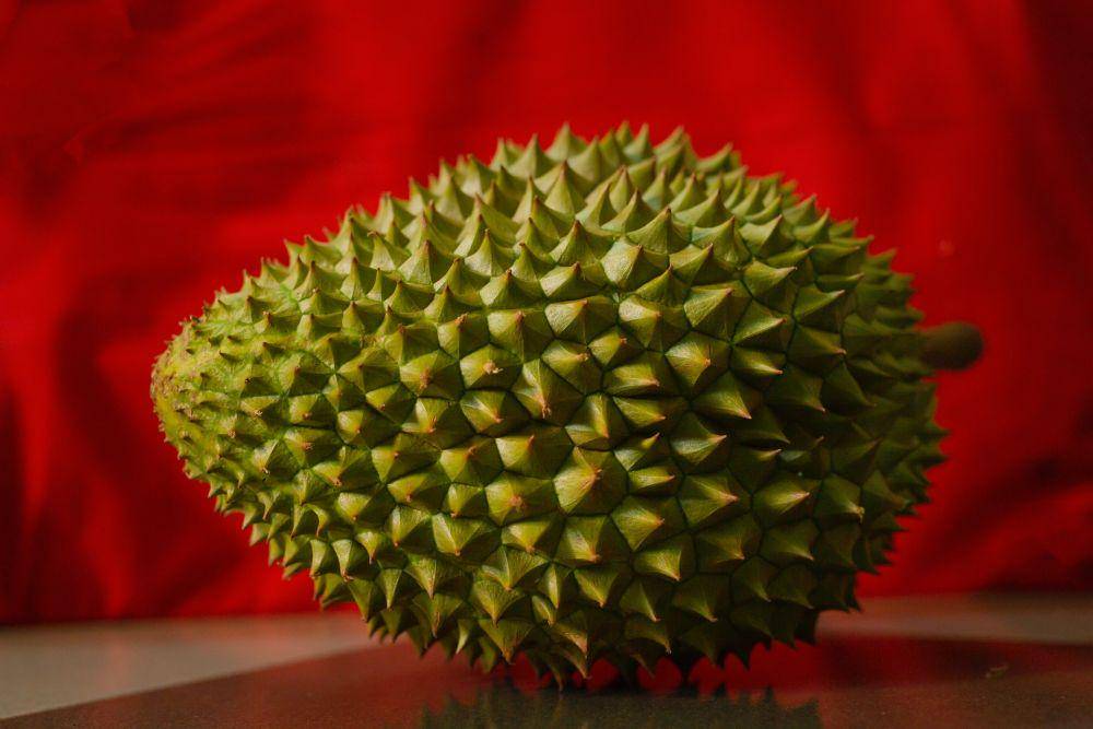 ilustrasi buah durian (pexels.com/Hong Song)