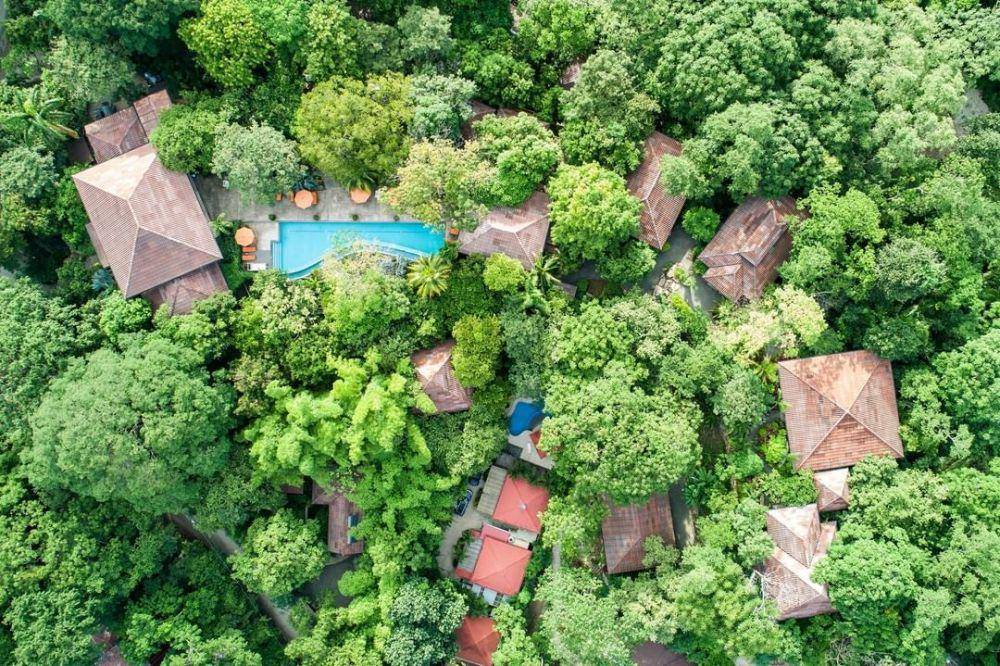 potret Bodhi Tree Yoga Resort (instagram.com/bodhitreeyogaresort)