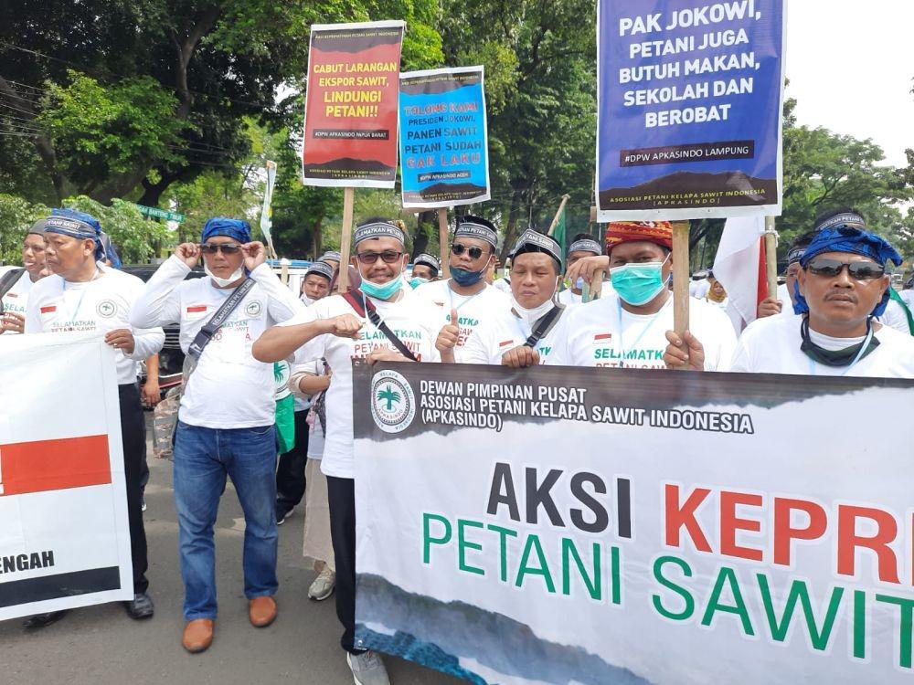 Moratorium Ekspor CPO Miskinkan 1 Juta Petani Sawit Swadaya Sumsel