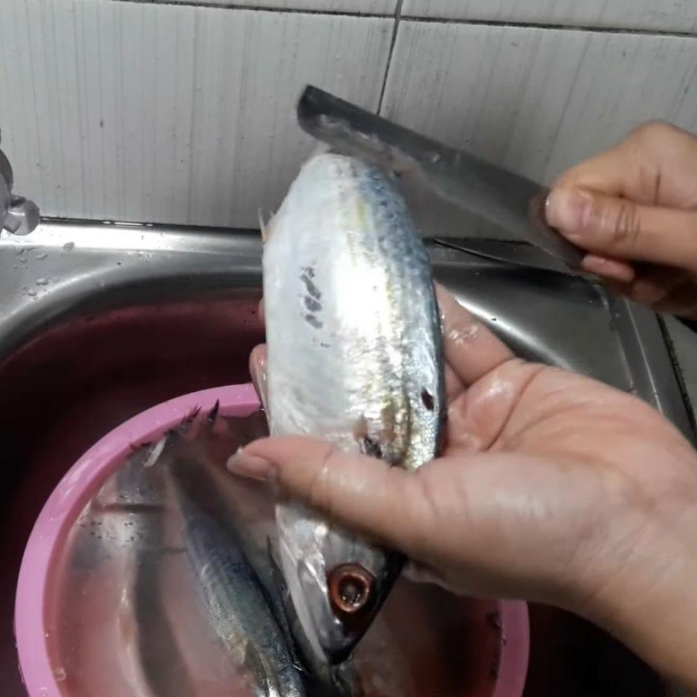 Ilustrasi mencuci ikan (youtube.com/Dapur Bang Agus)