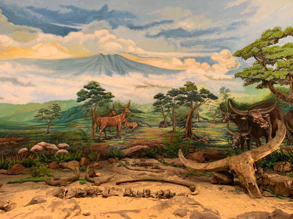 Museum Sangiran (dok. pribadi/Khanif Irsyad Fahmi)