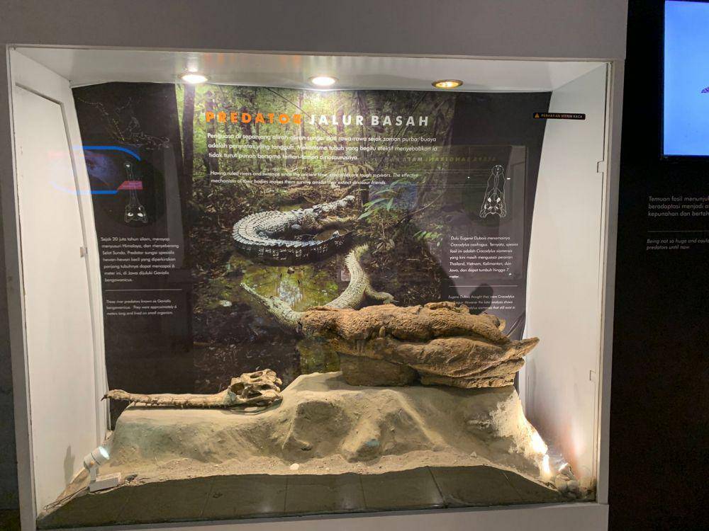 Museum Sangiran (dok. pribadi/Khanif Irsyad Fahmi)