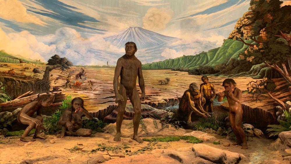 9 Potret Museum Sangiran, Bisa Berwisata Sekaligus Belajar Sejarah