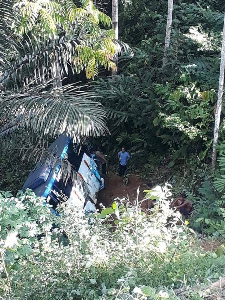 Bus PO Penantian Utama nopol BE 7030 FU masuk jurang di Jalan Lintas barat TNBBS Pekon Pemerihan Kecamatan Bangkunat Kab Pesisir Barat, Selasa (17/5/2022). (Dok Polsek Bengkunat).