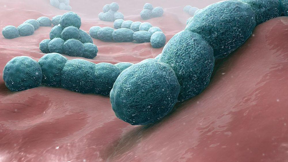 7 Warga di Karangasem Dilarikan ke RS, Diduga Meningitis